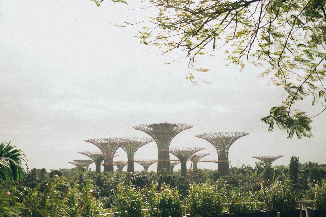Gardens by the Bay, Singapore (best bank statement analyzer tools in singapore)