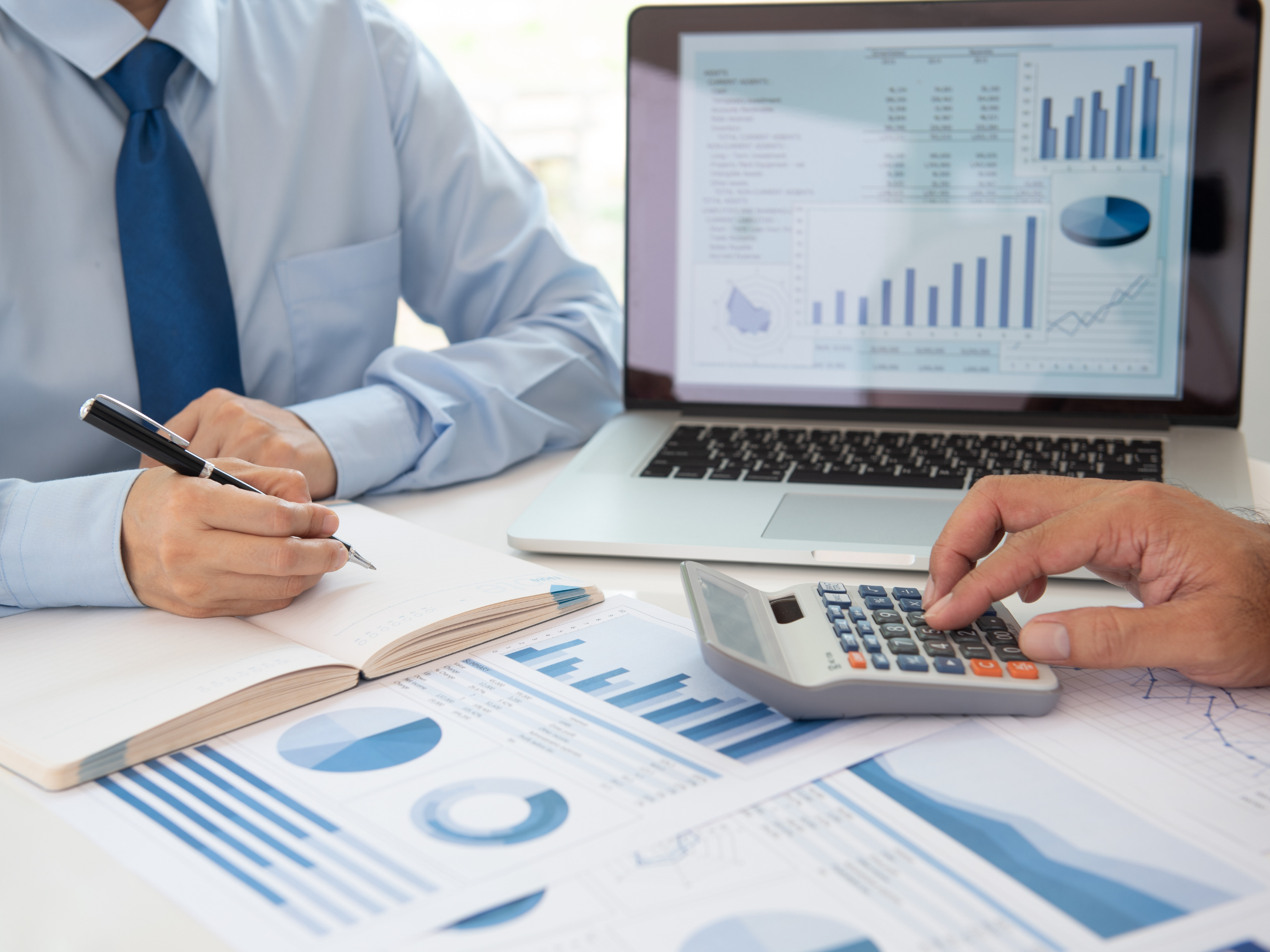 credit report software australia