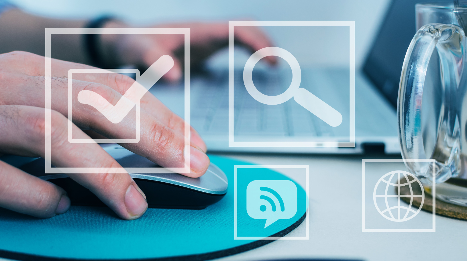 document verification software